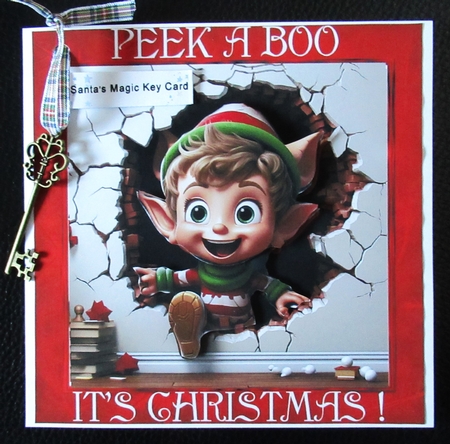 Peek a Boo 2 Christmas by Davina Rundle