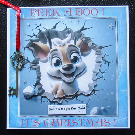 peek a boo Christmas 4 by Davina Rundle