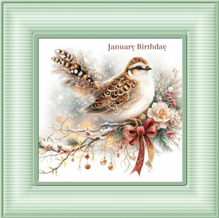 Festive Birds by Davina Rundle