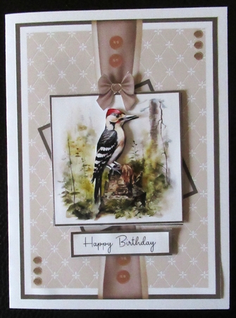 The Wondrous Woodpecker by Davina Rundle