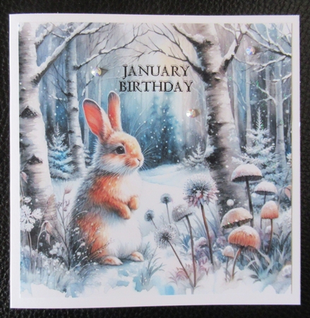 Winter Animals 1 (Winter Birthday or Christmas) Kit With Gift Tag by Davina Rundle