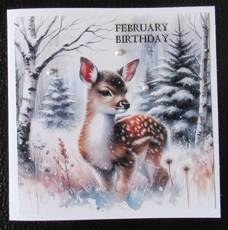 Winter Animals 1 (Winter Birthday or Christmas) Kit With Gift Tag by Davina Rundle