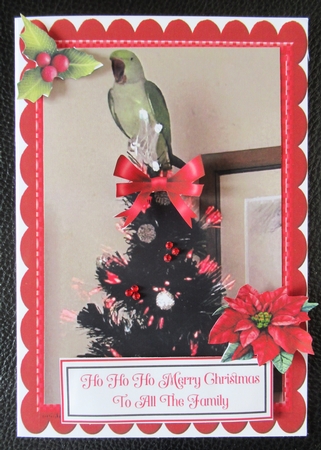 20 Christmas Time A5 Mats by Davina Rundle
