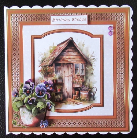 Garden shed and pansy 7x7 by Davina Rundle