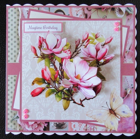 Magnolia and butterfly 7x7 by Davina Rundle