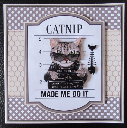 The Catnip Made Me Do It by Davina Rundle