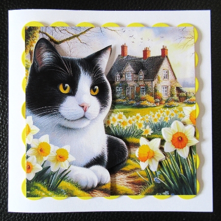 Daffodil Garden Cat 5 by Davina Rundle