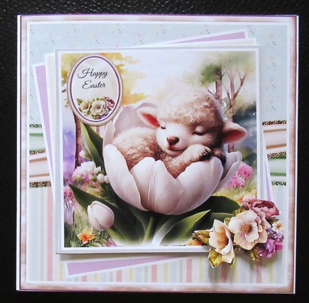 Cute Sleeping Animals Collection by Davina Rundle