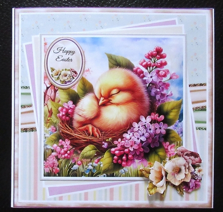 Cute Sleeping Animals Collection by Davina Rundle