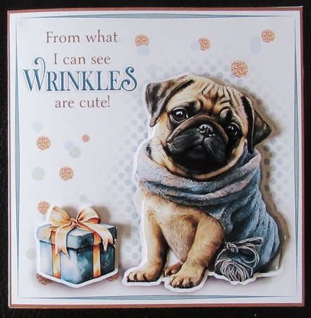 Wrinkles Are Cute! (Male) by Davina Rundle