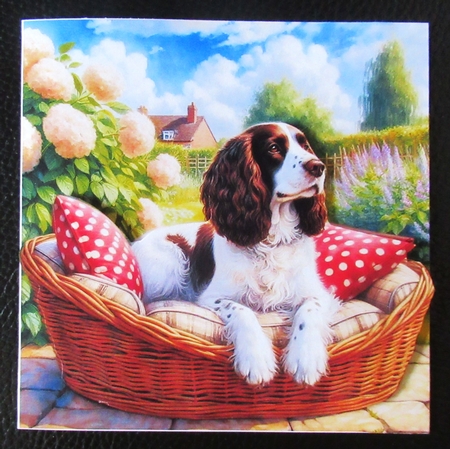 Summer Days Dogs 5 by Davina Rundle