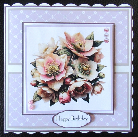 Beautiful Hellebores by Davina Rundle