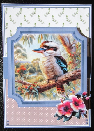 AUSSIE GARDEN BIRDS by Davina Rundle
