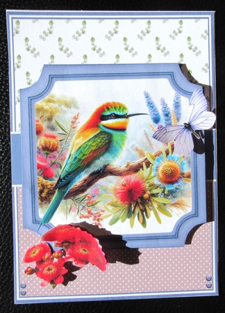 AUSSIE GARDEN BIRDS by Davina Rundle