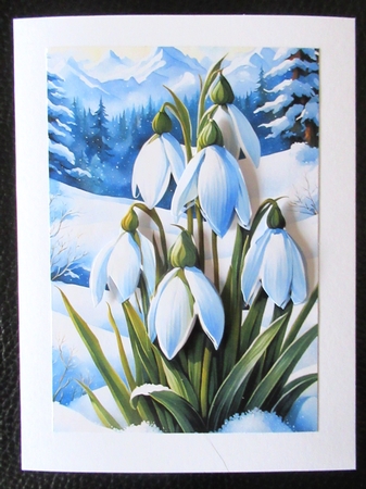 EW A4 Flower 26 by Davina Rundle