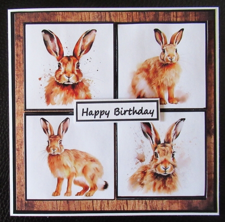 Mad as a March Hare by Davina Rundle