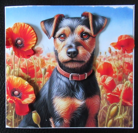 Beautiful Poppy Field Dogs 1 by Davina Rundle