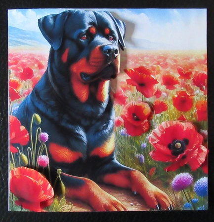 Beautiful Poppy Field Dogs 3 by Davina Rundle