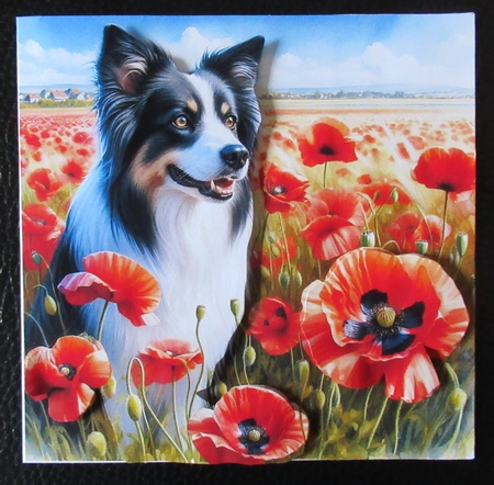 Beautiful Poppy Field Dogs 6 by Davina Rundle