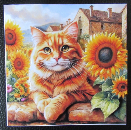 Sunshine Flower Cats 2 by Davina Rundle