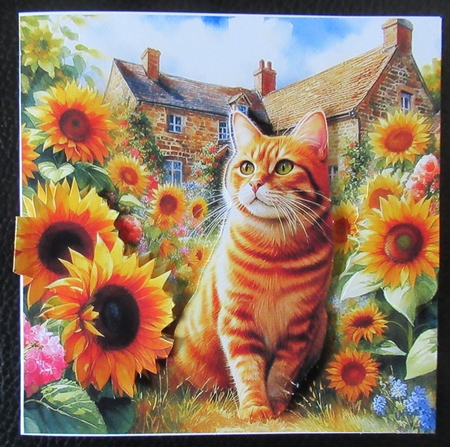 Sunshine Flower Cats 2 by Davina Rundle