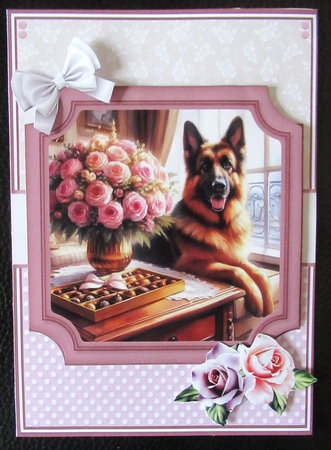 GORGEOUS GERMAN SHEPHERDS by Davina Rundle