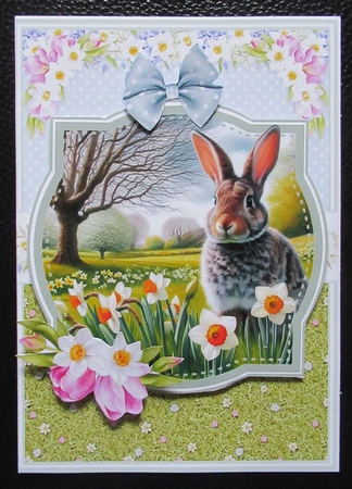 BEAUTIFUL BUNNIES - mothers day, birthday, Easter by Davina Rundle