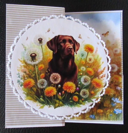 PapersA4-CU24_Easter_Striped1 by Davina Rundle