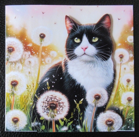 Wishing Meadow Cats 1 by Davina Rundle