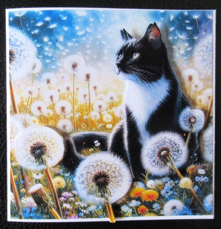 Wishing Meadow Cats 1 by Davina Rundle