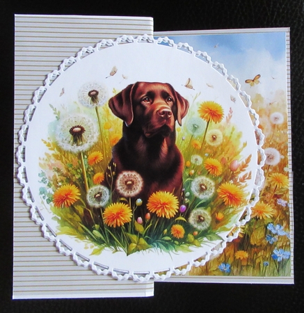 Wishing Meadow Dogs 1 by Davina Rundle