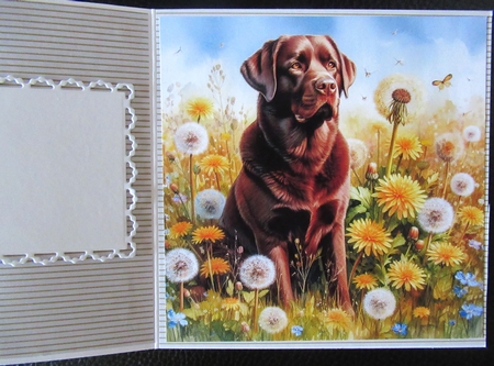 Wishing Meadow Dogs 1 by Davina Rundle