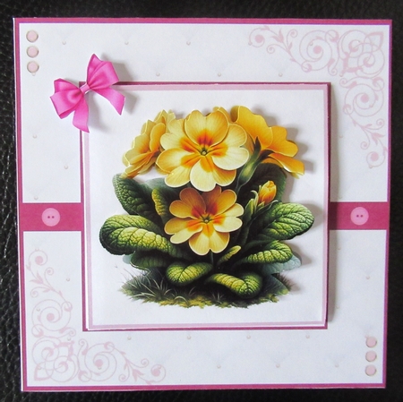 Perfect Primroses by Davina Rundle