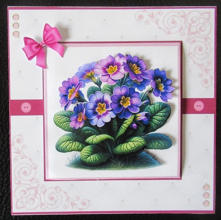 Perfect Primroses by Davina Rundle