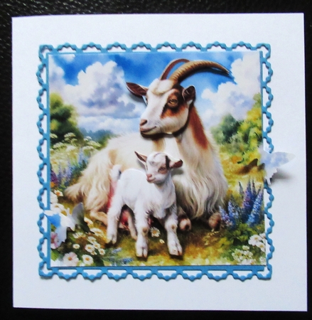Momma Goat  by Davina Rundle