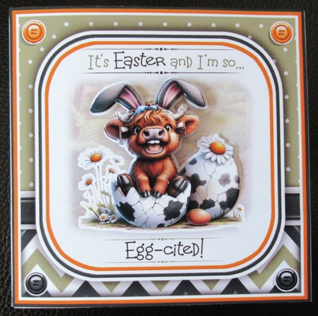 So Egg-cited! by Davina Rundle