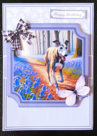 BLUEBELL WOODS by Davina Rundle
