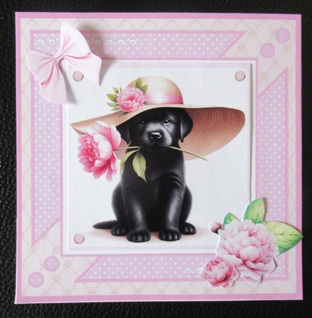 Puppies and Peonies by Davina Rundle