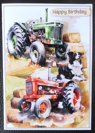 Farming time by Davina Rundle