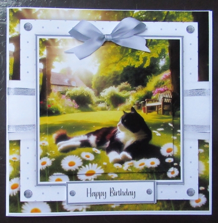 Relax and Unwind, Cats Sunbathing Bumper Set by Davina Rundle