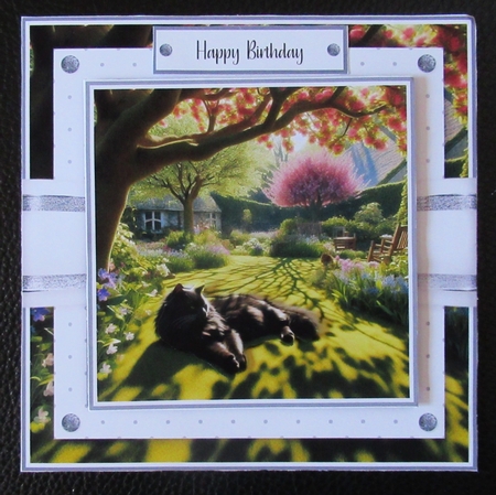 Relax and Unwind, Cats Sunbathing Bumper Set by Davina Rundle