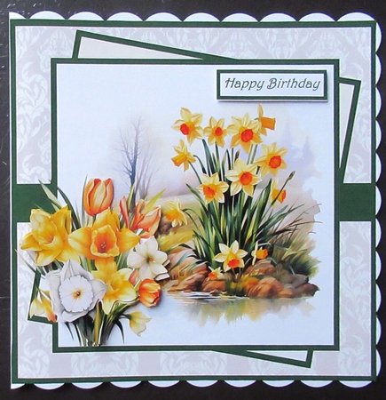Daffodils at the river edge 7x7 by Davina Rundle