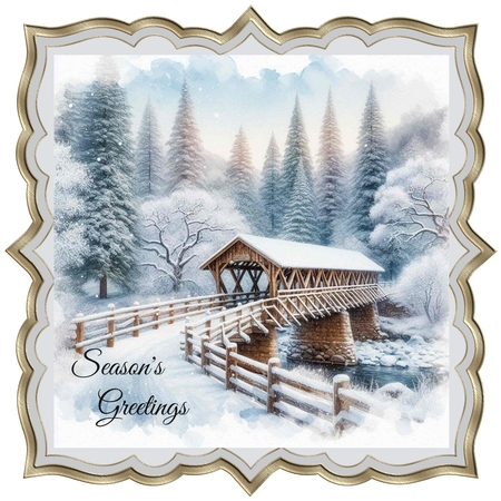 Winter  Snow Bridge by Davina Rundle