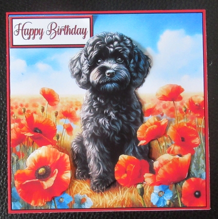 Poppy Field Dog  (5) 3 by Davina Rundle