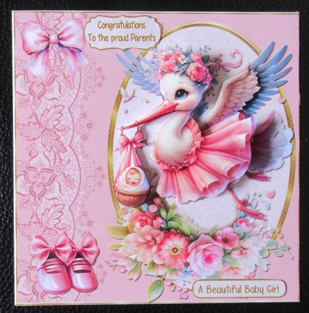 A new arrival baby girl by Davina Rundle