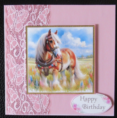 Horse Spring Meadows  by Davina Rundle