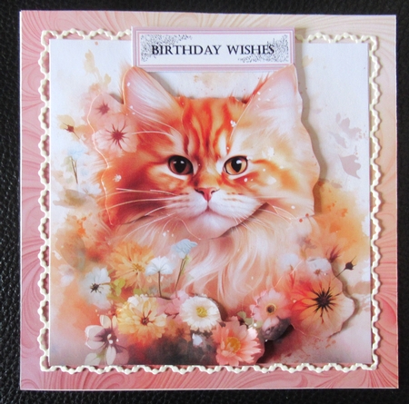 Persian Cat and Flowers Mix 1  by Davina Rundle