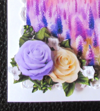 Roses & ButterfliesSTEP BY STEP by Davina Rundle
