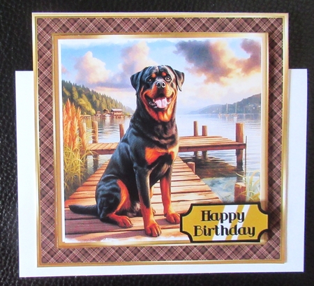Sitting On The Dock Of A Bay Dogs 10 by Davina Rundle