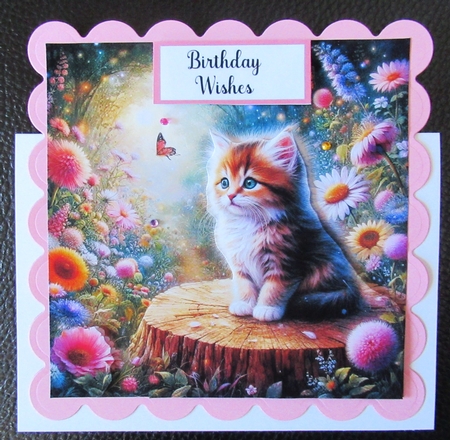 Tree Stump Kitten by Davina Rundle